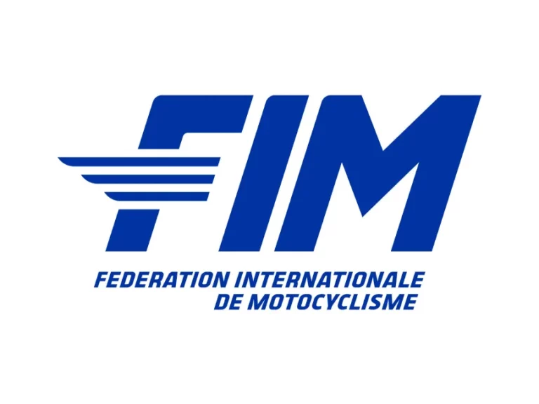 SEMINARIO FIM SUPERLICENCIA 2025 – DIRECTOR DE COMPETICIÓN – FAM